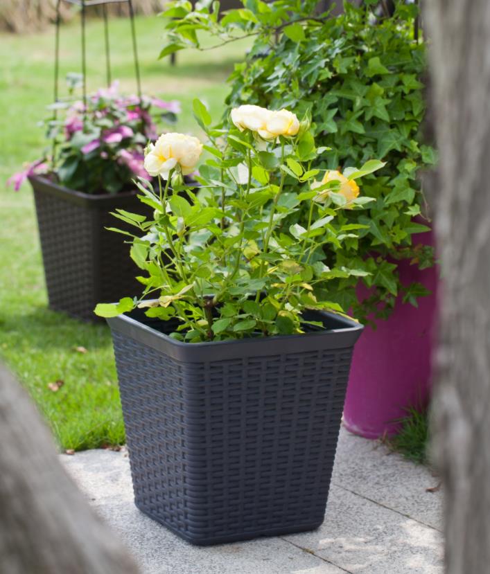 Plastic Flower Pot Mold-2